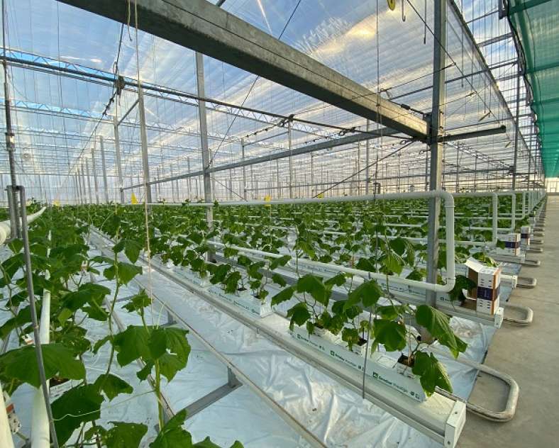 Agriculture & Élevage