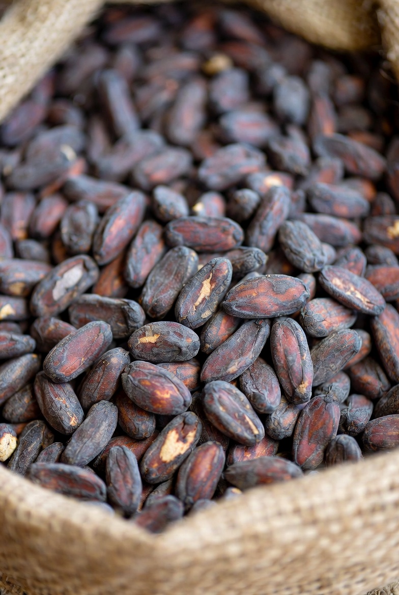 Fèves de cacao NATURCAM