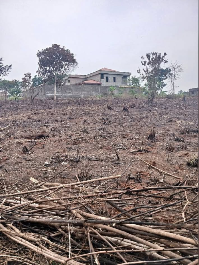 Terrain 500m² – Yaoundé