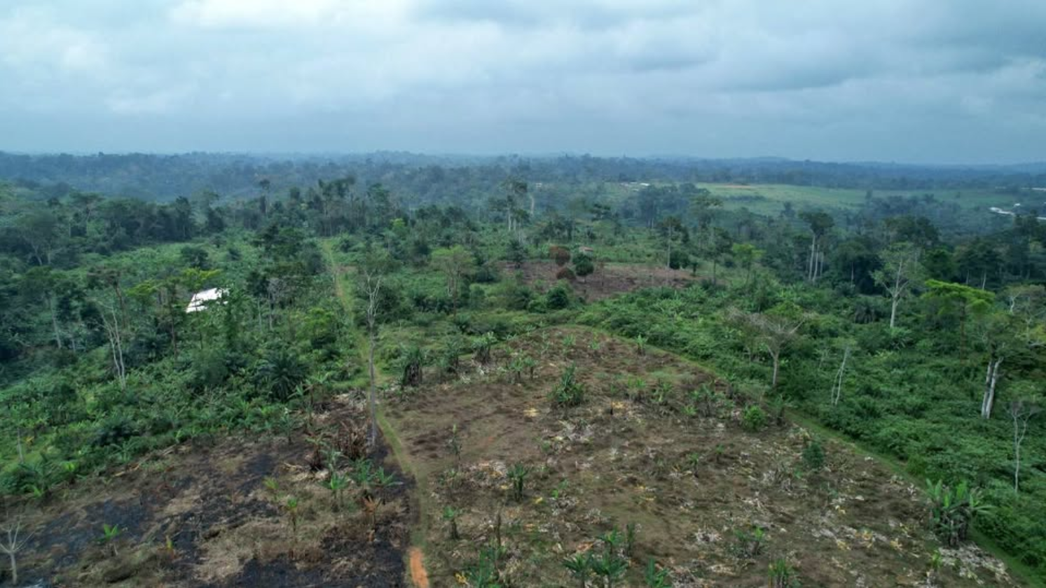 Terrain Agricole 2ha